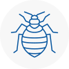 Bed Bug Extermination In New Eltham