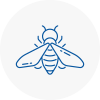Bee Nest Removal New Eltham
