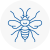 New Eltham Hornet Nest Removals