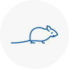 Mice Exterminators In New Eltham