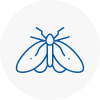Moth Control Specialists In New Eltham