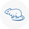 Rat Control New Eltham