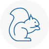 New Eltham Rodent Removals