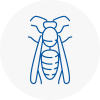 New Eltham Wasp Nest Removal